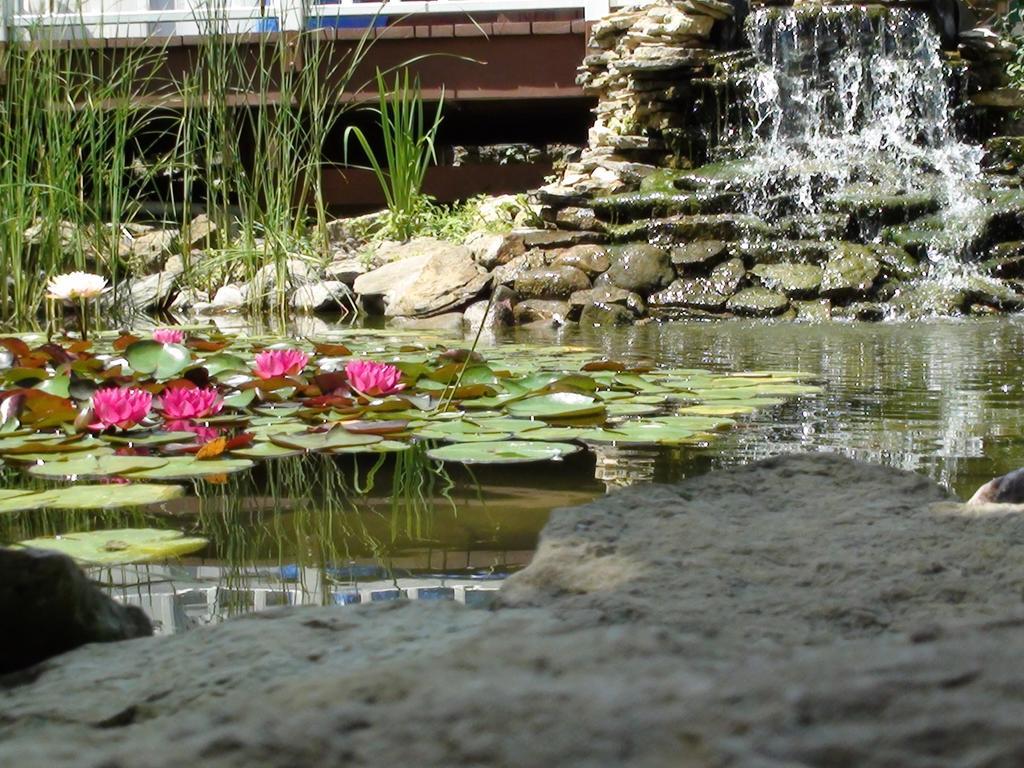 Trickling Waters Retreat Villa Marquette Ngoại thất bức ảnh