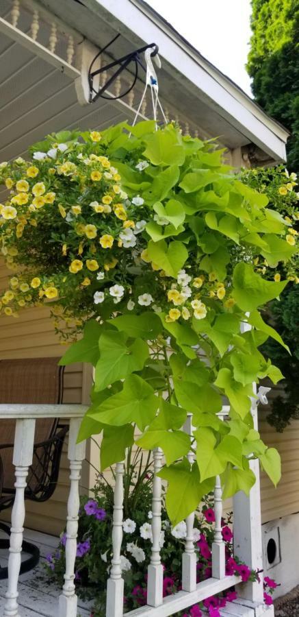 Trickling Waters Retreat Villa Marquette Ngoại thất bức ảnh